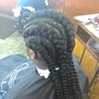 feeder braids