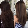 Brazilian Blowout, Women's Cut