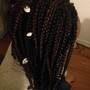 Tree Braids