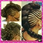 Havana Twist/ Big Twist