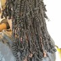 medium havana twist