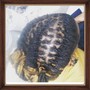 Chin length perm extensions