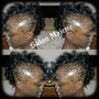 Sleek Ponytail/ Natural Hair