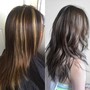 Root Touch Up & Tone