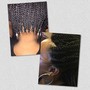 Crochet (Box braidsor Twist)  13&up