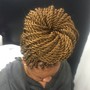 Havana Twist