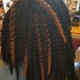 Micro Box Braid Consultation