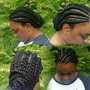 Havana Twist/ Big Twist