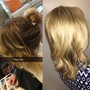 Blow dry with Toner/ Gloss