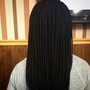 2 Strand Twist