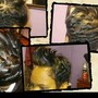 UPDO W/BANG or ponytail