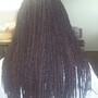 Senegalese Twist