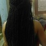 Poetic Justice Braids