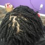 Havana/Passion/Island Twists