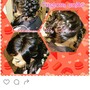 natural hair updo