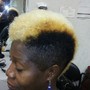 Root Touch Up