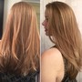 Color Root Touch Up and Haircut