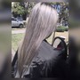 Roots Permanent  color /grey coverage & CUT