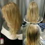 Toner, Root Touch Up, Blowout