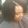 Root Touch Up