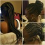 Havana twist touchup smaller