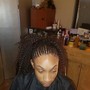 Med Tribal Feeder/Box Braids