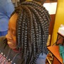 Plain Braids