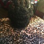 2 Strand twist /with no extensions