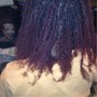 Single Process Color on Tips for Locs price depends on length