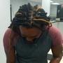 Starter Dreadlocks