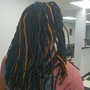 Starter Dreadlocks