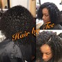 Root Touch Up