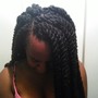 Large Senegalese Twist