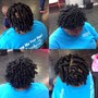 Flat Twists/Twist Out