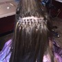 Hair Extensions ( Glue In's)