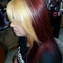 Hair Color (1 solid color)