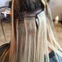 Hair Extensions ( Glue In's)