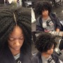 Root Touch Up