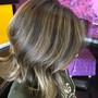 Single Color Touch Up, Haircut and Blow Dry