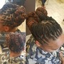 Feed-in Braids