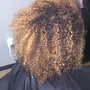 Root Touch Up