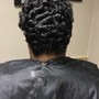 Braided Updo (NO HAIR ADDED)