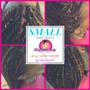 Small Plaits (Sholuder length)