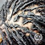 Loc Repair (EVERY 2 LOCS)