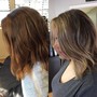 Touch- Up Highlights & Color