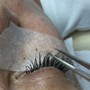 Bottom Lash Extensions