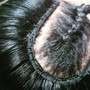 Ponytail /Bonded ( relaxed hair)