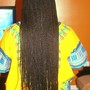 Senegalese twist(shoulder-waist)