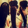 Senegalese twist ( waist length  )