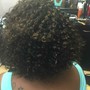 Flat Twists Updo